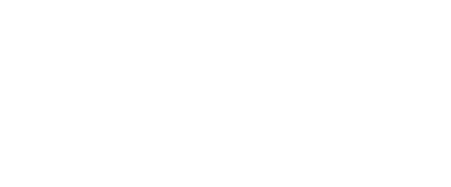 Castle La Crosse Logo