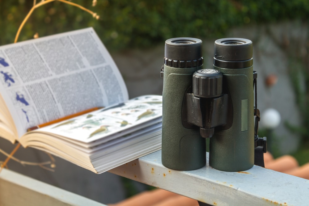 Binoculars and a field guide for birdwatching on the Great River Road at places like Trempealeau National Wildlife REfuge and the Upper Mississippi River National Wildlife & Fish Refuge
