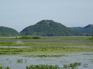 The wetlands at the Trempealeau National Wildlife Refuge and the Upper Mississippi River National Wildlife & Fish Refuge on the Great River Road are perfect for birdwatching